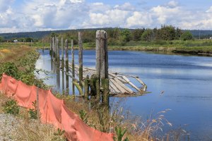 Smith Island habitat restoration cost to rise $1.2 million