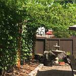 Beer of the Week: 5 Rights Brewing’s Fresh hop imperial IPA