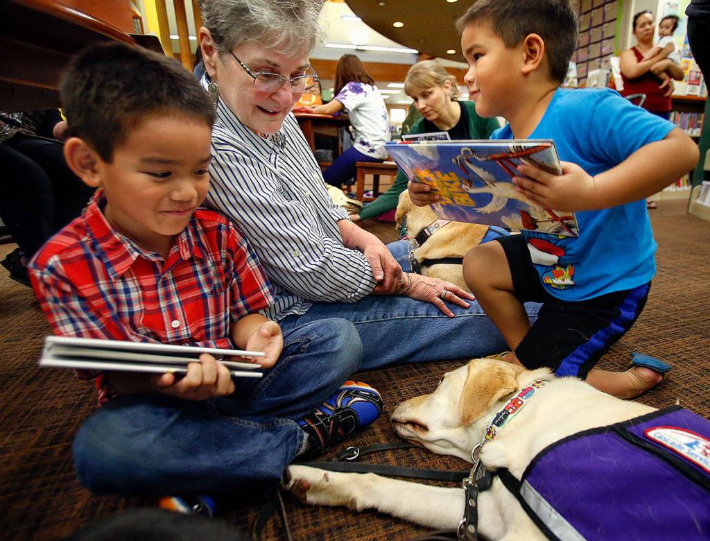 Lisa Akin doesnt only attract all the dogs who grew to love her when they were puppies. She also draws in the kids who fall in love with the dogs. Jeyren Blanco, 6 (left), and his brother, Kayden, 4, like hanging out with Akin. She helped them read to the dogs, including Merced, a Cascade Service Dog. (Dan Bates / The Herald)
