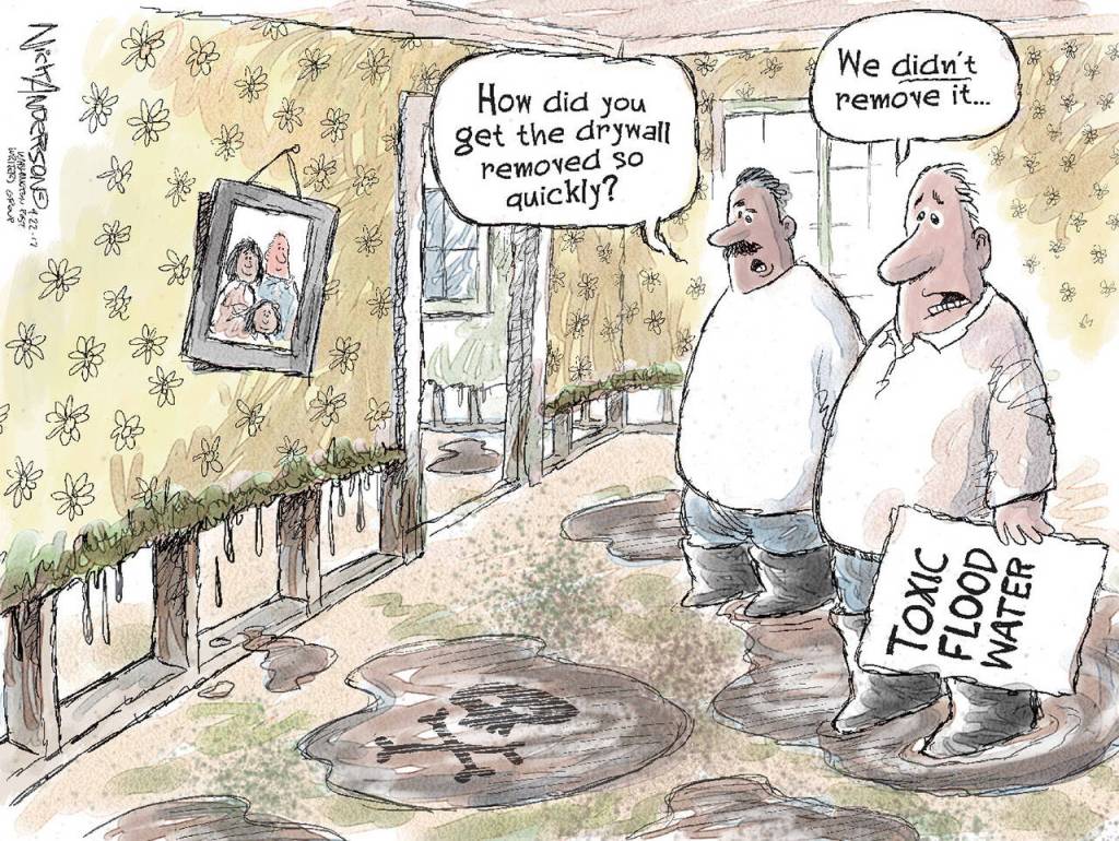 Editorial cartoons for Sunday, Sept. 24