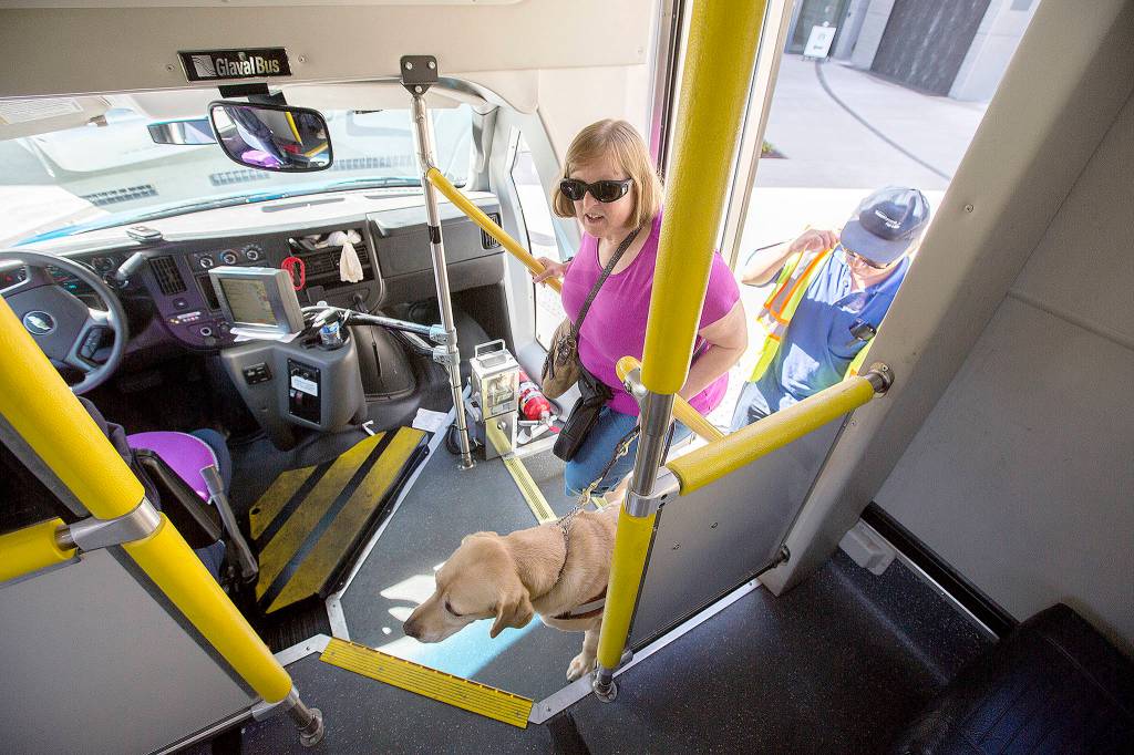 Jenny Anderson and her service dog Nevi board a DART bus with driver Kevin Oh after a visit to Swedish Hospital on Sept. 11 in Edmonds. (Andy Bronson / The Herald)