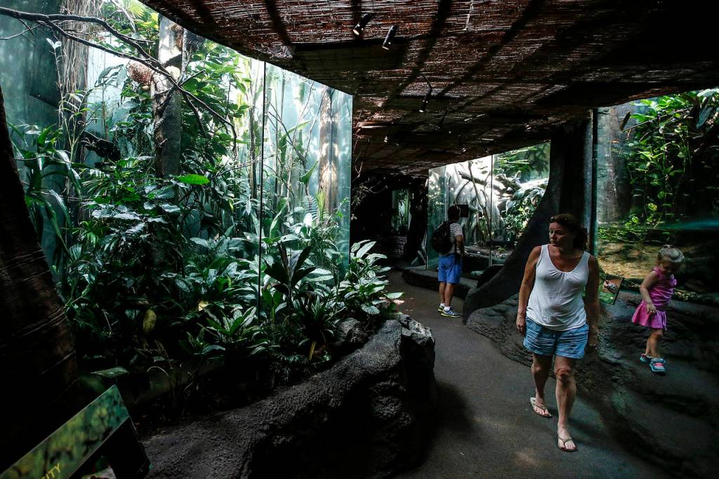 Visitors walk through the Woodland Park Zoos tropical rainforest environment in Seattle. (Ian Terry / The Herald)