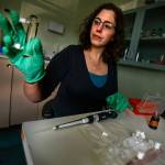 At the NOAA marine science center in Mukilteo, Shallin Busch conducts research to determine ocean acidification affects on marine species, including the Dungeness crab. (Dan Bates / The Herald)