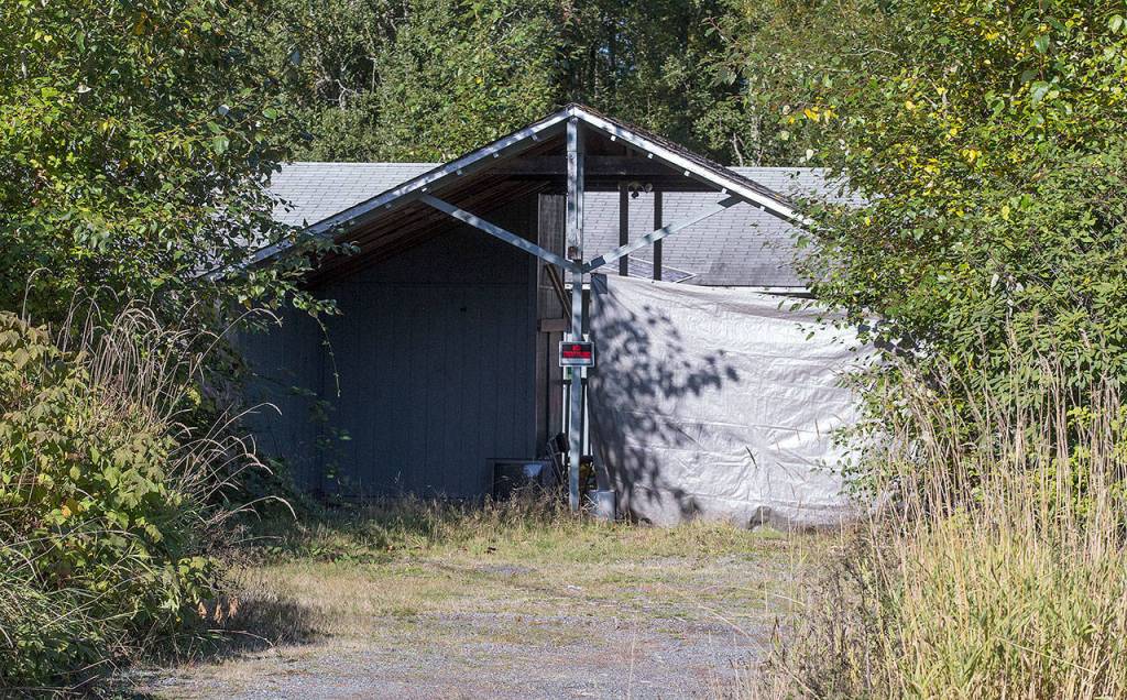 A house with tarps and no trespassing signs sits next to the property owned by Chris Rose, who has spent nearly a decade trying to clear up a situation festering at the vacant house on Highway 92 near Lake Stevens. (Andy Bronson / The Herald)
