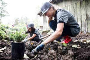 Real estate and development pros jump in to help Farmer Frog