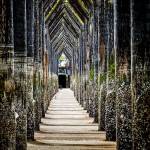 Infinity. Pilings on the Everett waterfront.
