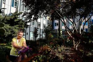 Valentina Bogdanova, 74, loves working in the gardens that nearly surround the Bakerview Apartments, where she has lived for 20 years. The units are among 16 affordable and subsidized properties leased to seniors by the Everett Housing Authority. (Dan Bates / The Herald)