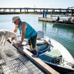 Bob McNaughton lifts his dog, Sonny, a poodle and schnauzer mix, from his boat after landing at Ebey Waterfront Park in Marysville on Thursday. (Ian Terry / The Herald)