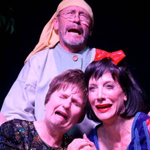 Melanie Calderwood, Michael McFadden and Debra Rich Gettleman star in Phoenix Theatres production of Vanya and Sonia and Masha and Spike. Photo by Eric Lewis