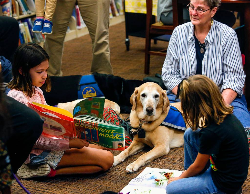 While the person who raised the dogs from pups, Lisa Akin (back right), listens and watches, Malia Correia-Boyd (left) reads Goodnight Moon by Margaret Wise Brown to retiring 11-year-old therapy dog Risa. Saveyia Zugel, 5 (right), reads yet another book. The now white-faced lab-golden retriever mix has been listening to stories for much of her life, and this is her retirement party. (Dan Bates / The Herald)