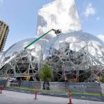 In this April 27 photo, construction continues on three large, glass-covered domes as part of an expansion of the Amazon.com campus in downtown Seattle. (Elaine Thompson / Associated Press)