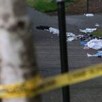 A boy was found shot in a breezeway at Walden Apartments in Everett on Wednesday evening. (Kevin Clark / The Herald)
