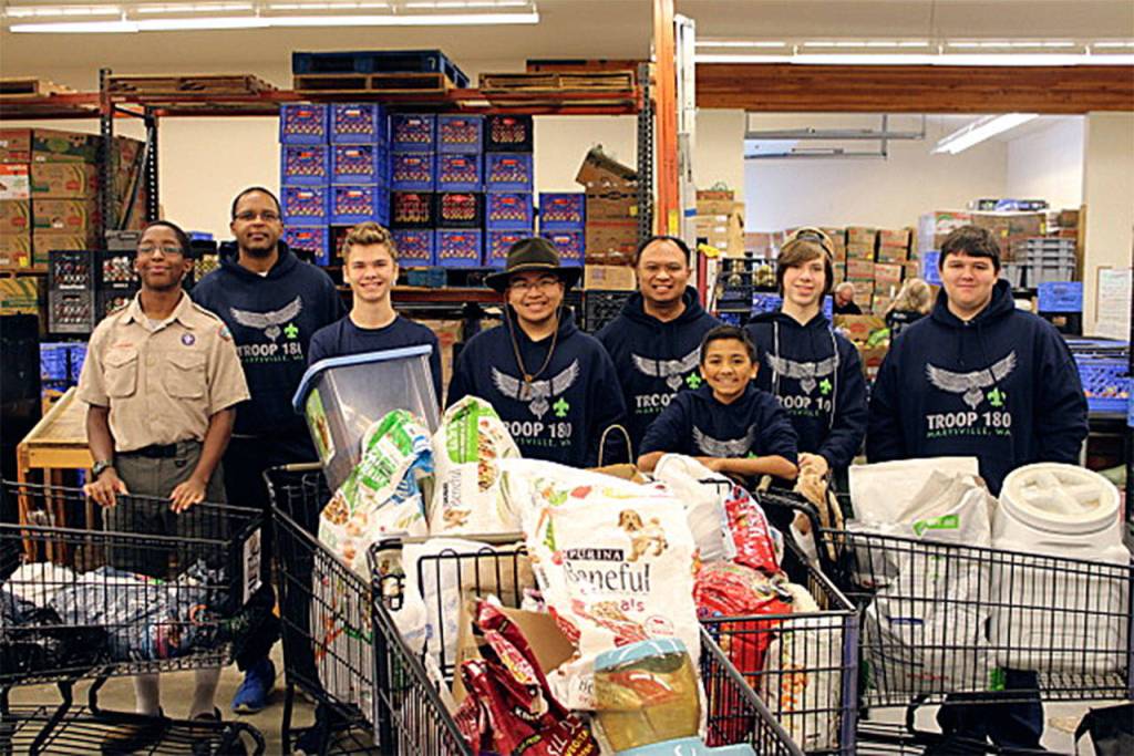 Boy Scouts Troop 180 of Marysville collected over 550 pounds of donations from a pet food drive to benefit the local food bank. (Contributed photo)