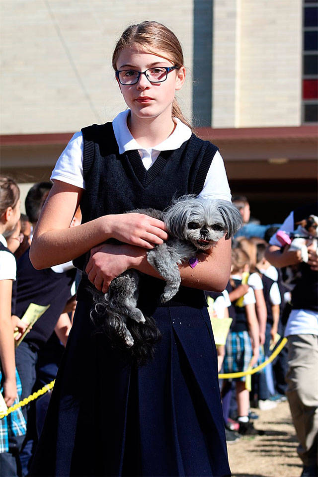 St. Thomas More student Sophia Moore takes part in a Blessing of the Pets. (Contributed photo)