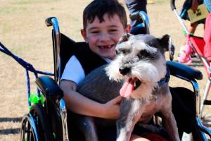 St. Thomas More students celebrate pets, service