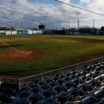 The natural grass baseball field at Everett Memorial Stadium will be converted to an artificial playing surface. (Ian Terry / The Herald)