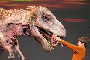 Upcoming events for families in Snohomish County and nearby