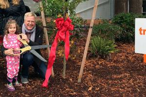 Tree planted to honor YWCA apartment complex donor