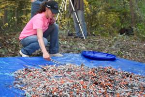 Recovering addicts bag thousands of needles at Everett camp