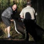 Jeffrey Abrams (left) pulls his dinghy ashore from King Lake on Tuesday. (Ian Terry / The Herald)