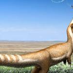 Chihuahua-sized dinosaur had a raccoon-like ‘bandit-mask’