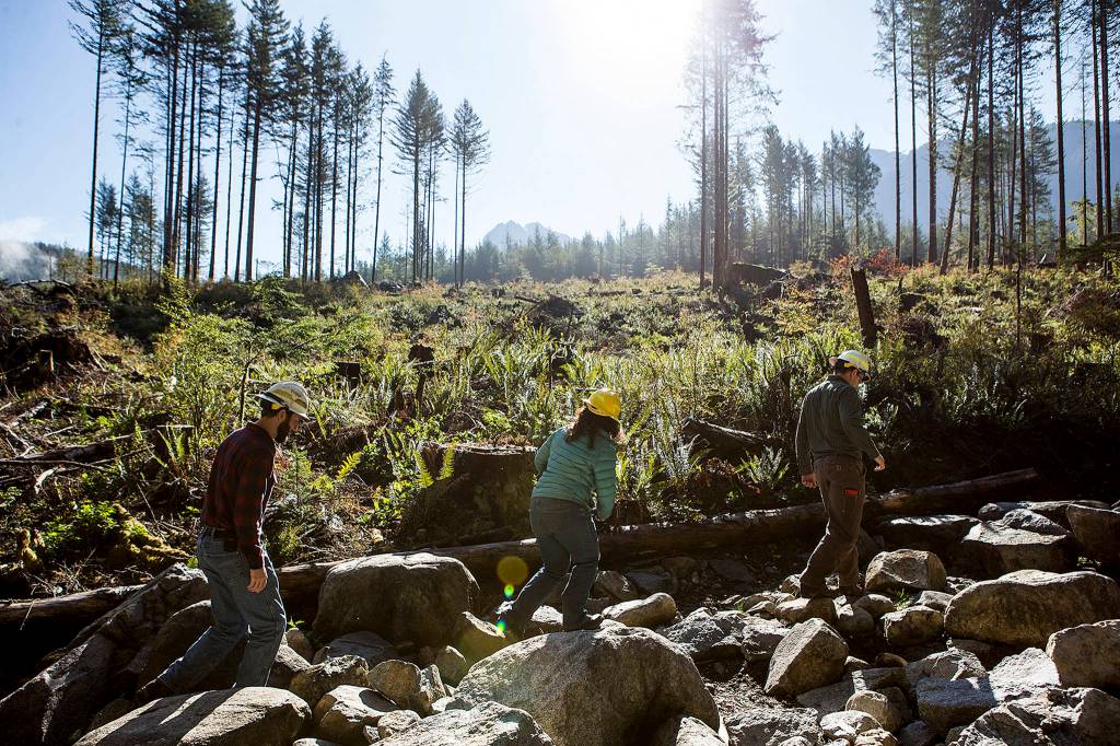Washington State Department of Natural Resources John Moon (left), Carrie McCausland (center), and Benjamin Hale walk along a 4x4 offroad trail built as part of the Reiter Foothills Forest ORV Trails near Sultan on Oct. 26. (Ian Terry / The Herald)
