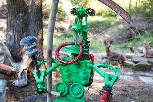 Herald photos of the week