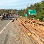 Timber sits on the shoulder of Highway 530 after a log truck and a cattle truck collided Tuesday afternoon near Arlington. (Washington State Patrol)