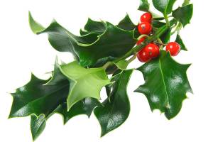 Holiday events and fun in Snohomish County and beyond for 2017