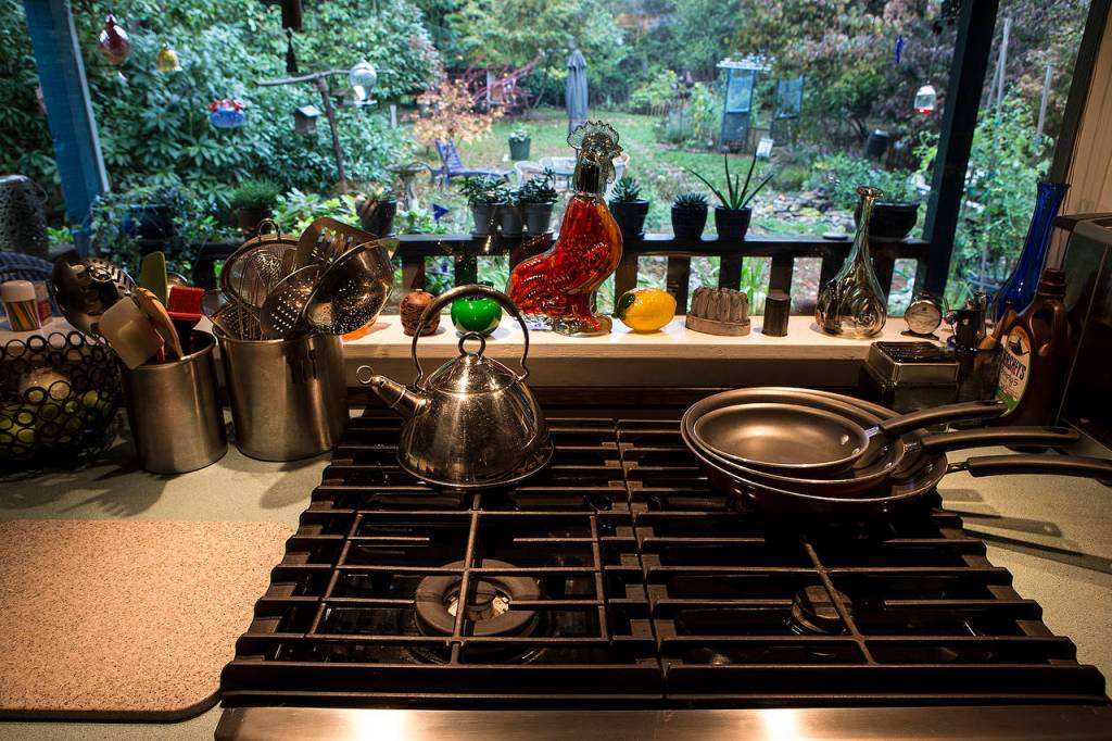 As part of their kitchen remodel, Wendy Keene and Tim Schultz decided to face their stovetop out to their back garden. (Ian Terry / The Herald)