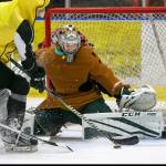 Silvertips goalie Wolf makes strong first impression