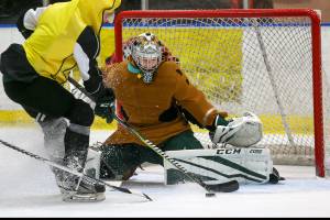 Silvertips goalie Wolf makes strong first impression