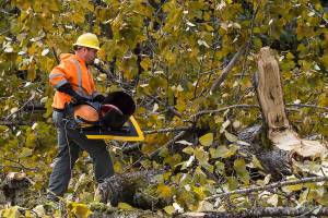 Snohomish Public Works Signal Technician/Electrician Jason Hendershot picks up a broken stop signal on the intersection of Seattle Hill Road and 35th Ave NE, after a tree fell, taking out the signal, on Monday, Nov. 13, 2017 in Mill Creek, Wa. (Andy Bronson / The Herald)