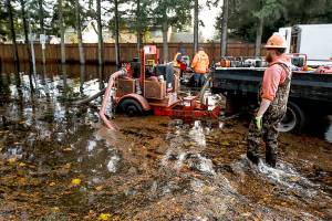 The beavers weren’t happy, either, about Mill Creek flooding