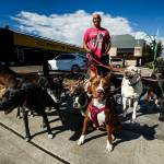 Michael Scooby Silva welcomes all breeds. I dont think any dog is a bad dog, he says. They just have a hard time trusting people.