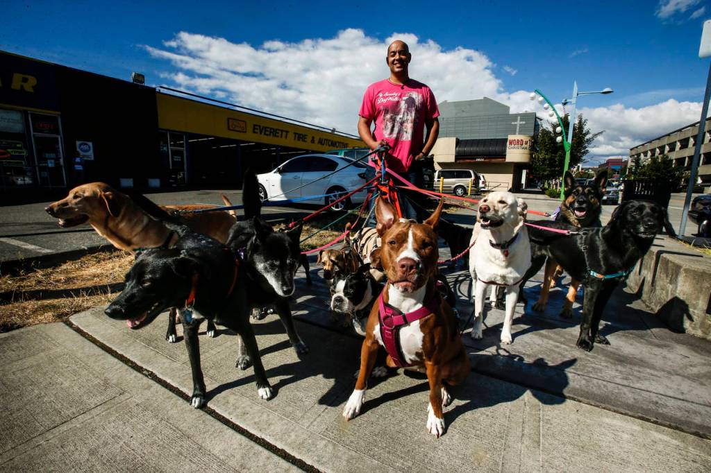 Michael Scooby Silva welcomes all breeds. I dont think any dog is a bad dog, he says. They just have a hard time trusting people.