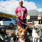 Everett’s Michael ‘Scooby’ Silva is the leader of the (dog) pack
