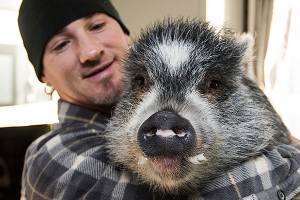 Herald photos of the week