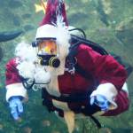 Upcoming events for families in Snohomish County and nearby
