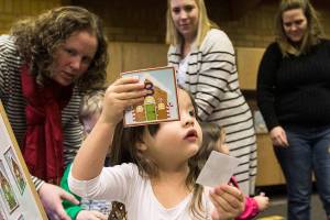 Voters again will consider a Lake Stevens library bond