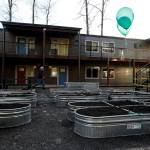 A community garden is seen at Housing Hopes new Twin Lakes Landing housing project during a public event on Friday, Dec. 8. (Ian Terry / The Herald)