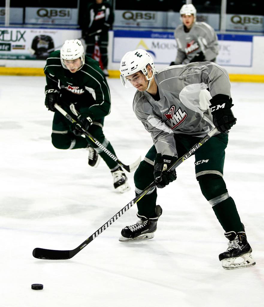 Silvertips right wing Bryce Kindopp receives a pass during a team practice at Angel of the Winds Arena in Everett on Dec. 13. (Ian Terry / The Herald)