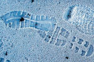 Herald photos of the week