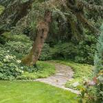 The grounds of the Elisabeth C. Miller Botanical Garden in the Highlands neighborhood of Shoreline. The garden has some 4,000 plants, many of them unique to the Northwest. (Photo by Richie Stephen)