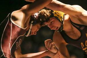 Herald photos of the week