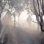 Women fight California wildfires with equipment made for men