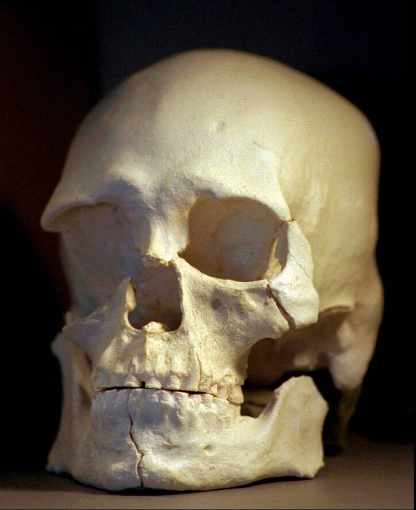 This July 24, 1997 photo shows a plastic casting of the skull from the bones known as Kennewick Man, in Richland. (AP Photo/Elaine Thompson, File)