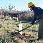 Land Trust improves habitat on Whidbey Island