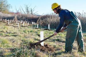 Land Trust improves habitat on Whidbey Island