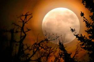 Supermoon was quite a show, but the next one will be better